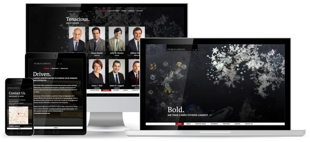 Storch Amini PC Website Design - pondSoup